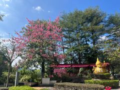 -广州神农草堂中医药博物馆