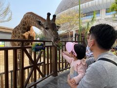 -灵玲国际马戏城
