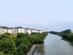 -高东镇樱花园