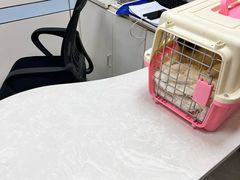 -中农国际动物医院24小时·猫科·骨科·急重症中心