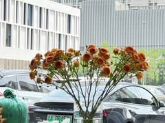 -范儿·嫂子烤肉·精致炭火烤肉(长治路店)