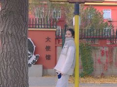 -三里屯东五街银杏大道
