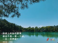 -南京市无想山景区