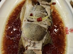 清蒸鲈鱼-添福来墨鱼饺子 · 海鲜东北菜(大连星海·黄浦路店)