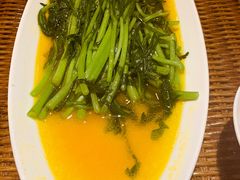 -广信传说