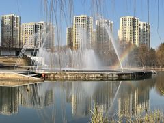 -白塘生态植物园