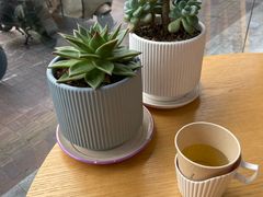 -宝岛眼镜·星创视光中心(威海路店)