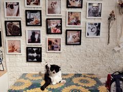 -平行世界·猫咖(首经贸店)