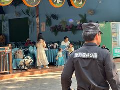 -西双版纳原始森林公园