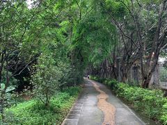-福神岗公园