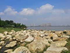 -瑶湖郊野森林公园