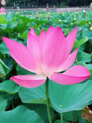 -大望京儿童游乐场