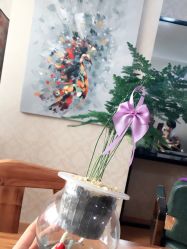 -米路造型MILU STUDIO