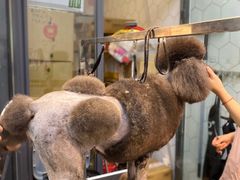 -萌兽医馆·眼科·异宠专科(三里屯店)