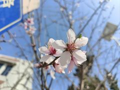 -青岛奥林匹克雕塑文化园(城阳世纪公园)