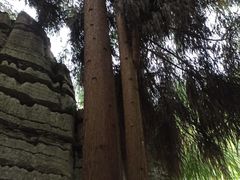 -梭布垭石林景区