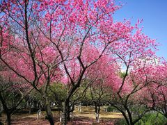 -白塘生态植物园