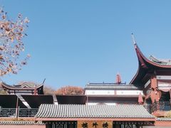 -楼外楼(西湖景区孤山路店)