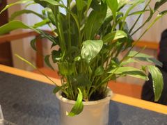 -半山•草庐玖厨(机场路店)