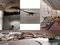 -自贡恐龙博物馆