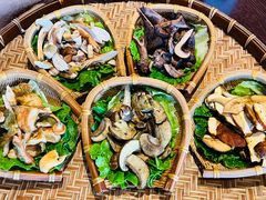 -滇野云南野生菌餐厅(陕西南路店)