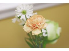 -莫奈花园法式蛋糕