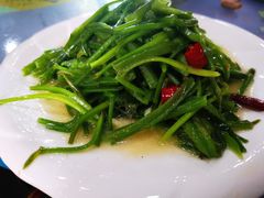水性杨花汤-泸沽肴(泸沽湖大洛水村农村信用社旁店)