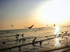 -老虎石海上公园