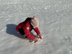 -绿野森林乐园冰雪季