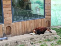 -栾川竹海野生动物园