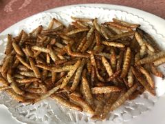 -天强农家菜馆