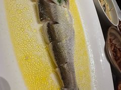 鸡汁葱油蒸大湖白鱼-湖里春风·淮扬菜(丽泽天街店)