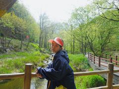 -洛阳白云山景区