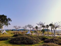 -空港花田景区