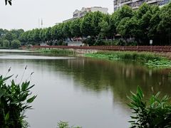 -雨湖公园