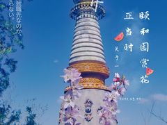 -颐和园