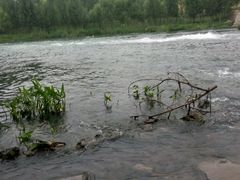 -德克士(中盛国贸店)