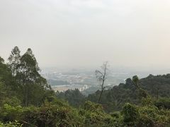 -火炉山森林公园