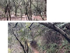 -杭州半山国家森林公园