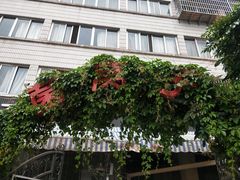 -菌窝子野生菌火锅(学府路店)