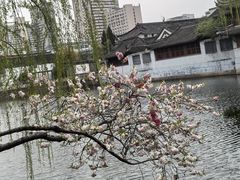 -水绘园