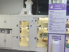 -小猫来了·猫舍(红山六九七九店)