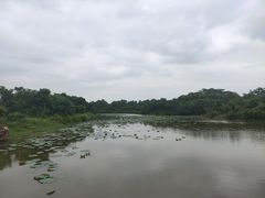 -大湾区中央湿地公园