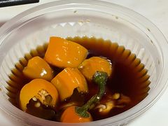 -福鼎褚翅