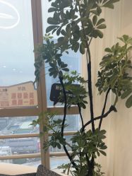 -JNK皮肤管理中心