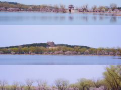 -颐和园