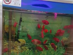 -雅悦齿科(顾村公园店)