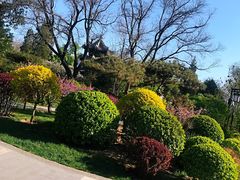 -迎泽公园