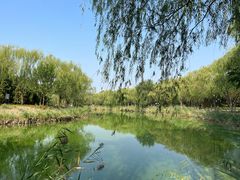 -塘沽森林公园