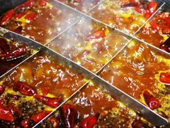 -白乐天毛肚火锅馆(解放碑店)